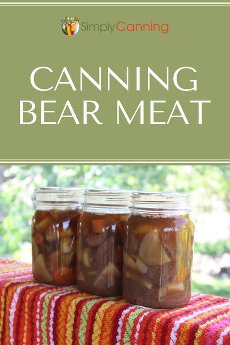 Bear Sausage Recipes, Bear Meat Recipes, Recipes With Bulk Sausage, Bear Meat Recipe, Bear Meat, Canning Meat, Julia Childs, Canning 101, Food Preserving