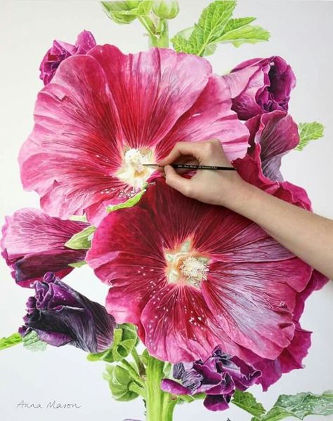 Anna Mason, Fungi Art, Painting Details, Watercolour Flowers, Drawing Flowers, Watercolor Tutorials, Jackson's Art, 수채화 그림, Watercolor Flowers Paintings