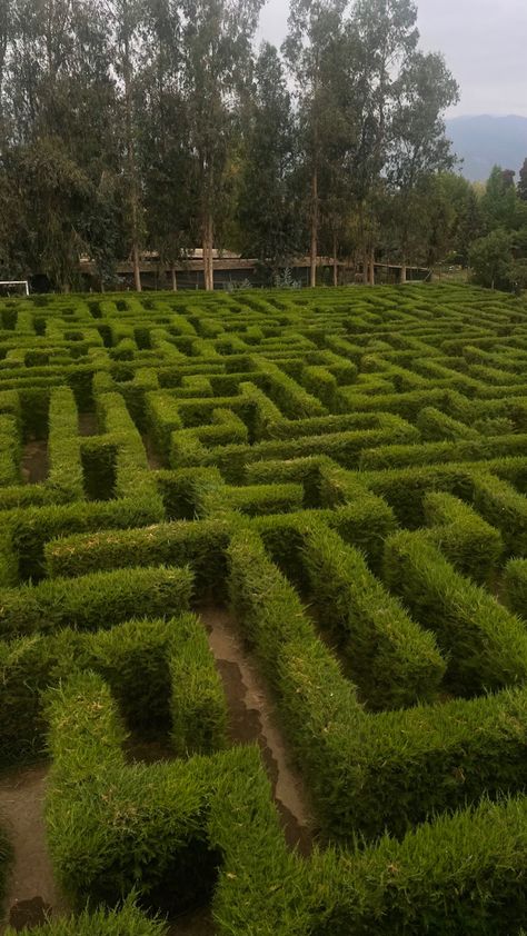 Hedge Maze Aesthetic, Hedge Labyrinth, Lilith Vincent, Maze Aesthetic, Hedge Maze, Labyrinth Garden, Landscape Architecture Graphics, Labyrinth Design, Mystery Writing