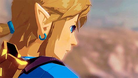 Link Gif, Link Icon, Botw Link, Link Botw, Princesa Zelda, Legend Of Zelda Memes, Ben Drowned, Hyrule Warriors, Link Zelda