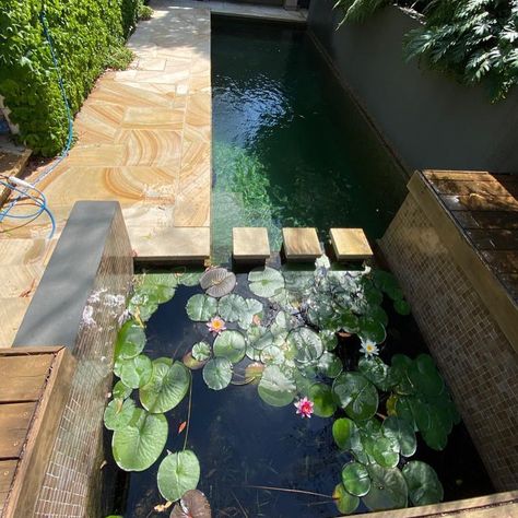 Natural Swimming Pools Aus on Instagram: “Some recent photos of our living pool with plants. . . . . . . . #naturalpoolsaus #biopool #freshwater #landscapedesign #ecopool…” Pool With Plants, Living Pool, Retreat House, Natural Swimming Pools, Landscape Design, Fresh Water, Swimming Pools, Outdoor Furniture Sets, Swimming