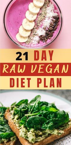 Raw Vegan Diet Plan, Raw Vegan Meal Plan, Raw Vegan Recipes Easy, Raw Food Diet Plan, Plant Based Diet Meals, Plant Based Diet Meal Plan, Vegan Diet Plan, Raw Vegan Diet, Vegan Raw