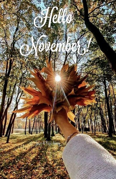 Hello November Images, Goodbye October Hello November, Hello Novembre, Hallo November, November Images, Fall Greetings, Neuer Monat, Special Friendship Quotes, Welcome November