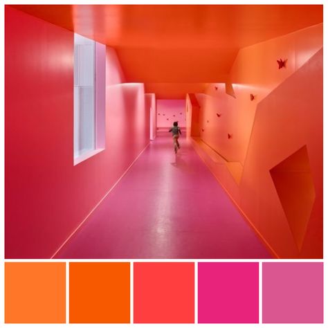 Pink Red Orange Purple Color Palette, Pink Complementary Color Palette, Saturated Colour Palette, Orange And Pink Palette, Hot Pink Pallette, Tetradic Color Scheme Interiors, Orange Pink Room, Pink Complimentary Colors, Orange Pink Palette