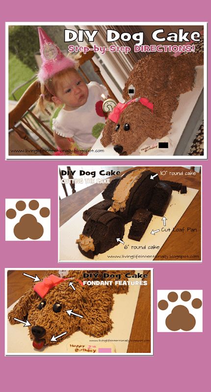 Diy Dog Birthday Cake, Diy Dog Birthday, Birthday Cake Diy, Puppy Dog Cakes, Puppy Birthday Cakes, 123 Homeschool 4 Me, Puppy Birthday Parties, Cake Diy, Puppy Cake