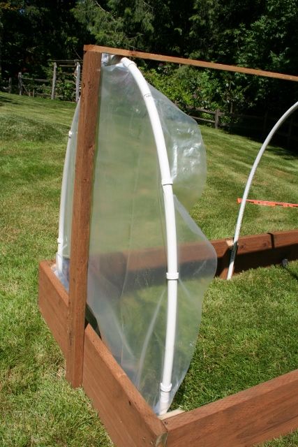 Raised Bed Greenhouse, Flower Tunnel, Homemade Greenhouse, Garden Cloche, Mini Serre, Building Raised Beds, Diy Greenhouse Plans, Greenhouse Cover, Backyard Sanctuary