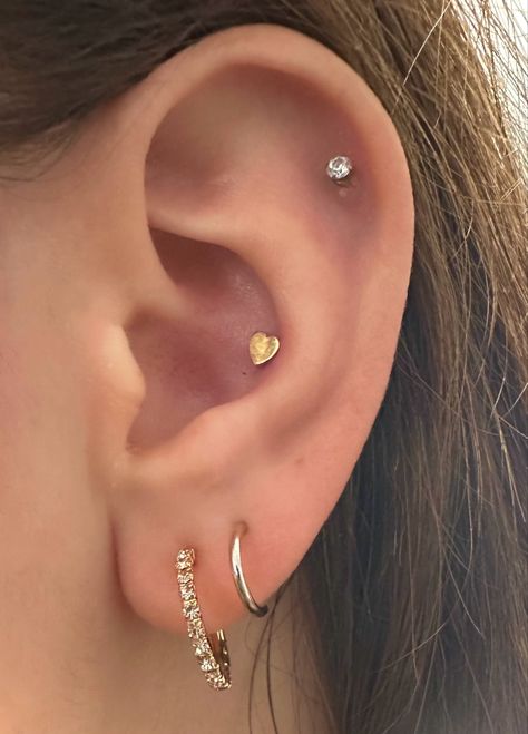 an ear with four piercings. two lobe piercings with the first being a small diamond hoop and the second being a smaller gold hoop. there is a gold heart conch piercing and a diamond stud high helix/cartilage piercing. Helix Piercing With Double Lobe, Triple Lobe And Conch Piercing, Helix And Lobe Piercing, Conch Stud Piercing, Helix Stud Piercing, Piercing Curation, Helix And Conch Piercing, Outer Conch Piercing, Conch Piercing Stud