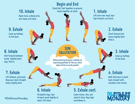 Yoga Infographic, Sun Salutation Sequence, Yoga Sun Salutation, Surya Namaskar, Frosé, Sup Yoga, Hiit Workouts, How To Start Yoga, Daily Yoga