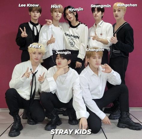 Straykids Names Member, Straykids With Names, Kpop Group Names, Bts Group Photos, Kids Groups, Skz In Cute, Group Photo, Iconic Photos, Kids Icon