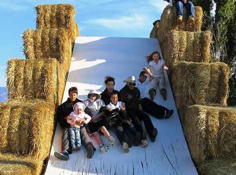 Hay Slide                                                                                                                                                                                 More Farm Obstacle Course, Pumpkin Patch Business Ideas, Hayride Party, Pumpkin Patch Business, Pumpkin Patch Farm, Small Farming, Fall Festival Games, Fall Harvest Decorations, Fall Harvest Party