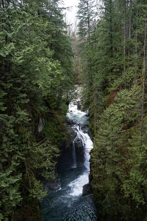 Forest Pool, Mossy Forest, Lynn Canyon, Twin Falls, Suspension Bridge, British Columbia Canada, Paddle Boarding, British Columbia, Vancouver