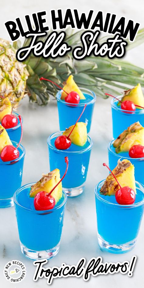 Hawaiian Jello Shots, Raspberry Jello Shots, Malibu Jello Shots, Alcohol Jello Shots, Blue Hawaiian Jello Shots, Rum Jello Shots, Blue Jello Shots, Jello Shots Recipe, Peach Jello