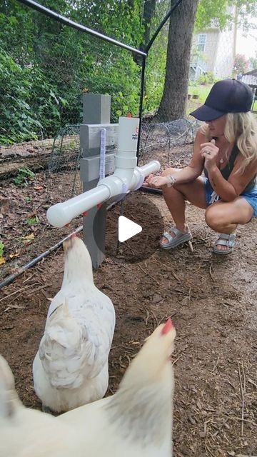 Homemade Chicken Waterer, Diy Chicken Waterer, Katie Williams, Chicken Watering System, Chicken Waterer Diy, Training Chickens, Chickens In The Winter, Chicken Waterer, Chicken Coup