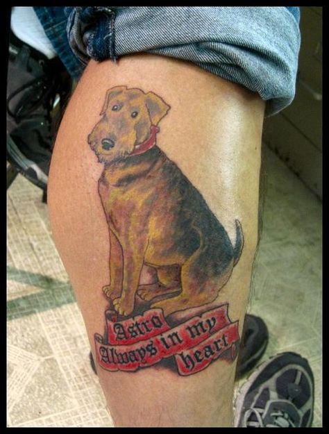 Terrier Tattoo, Airedale Terrier, Art Tattoos, Skin Art, Art Tattoo, Tattoos, Skin, Animals, Quick Saves