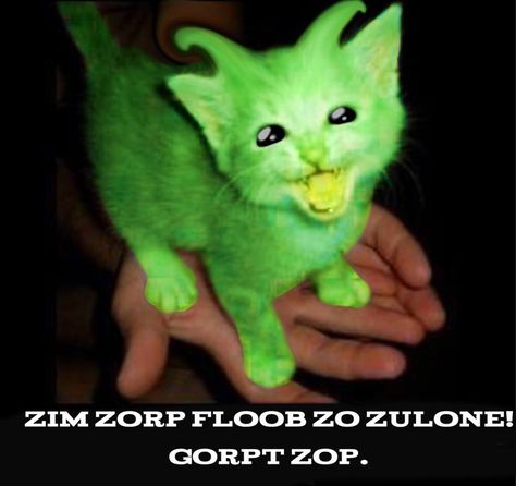 Gnarp Gnarp Meme, Gleep Glorp Cat, Green Cat Pfp, Gnarp Gnarp Cats, Green Cat, Silly Pics, Goofy Cat, Gnarpy Pfp, Alien Cat