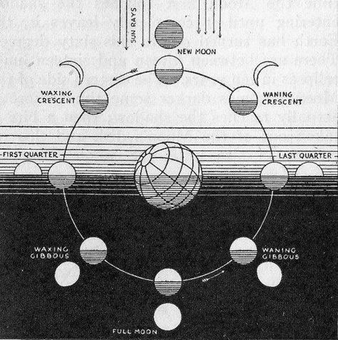 Moon Chart, Lunar Calendar, Moon Cycles, Space Science, Moon Child, Moon Phases, Sacred Geometry, Solar System, Full Moon