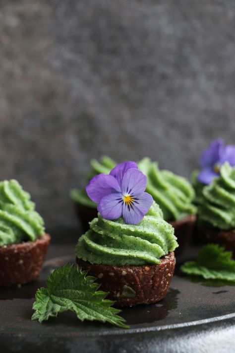 Raw Chocolate Cupcakes with Nettle Frosting (grain-free & vegan)  #kombuchaguru #rawfood Also check out: http://kombuchaguru.com Nettle Recipes, Foraging Recipes, Raw Vegan Desserts, Raw Cake, Foraged Food, Vegan Cupcakes, Desserts Vegan, Raw Desserts, Raw Chocolate