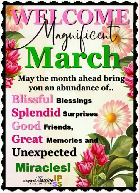 Month Of March Quotes, March Pictures, New Month Greetings, Happy New Month Quotes, New Month Wishes, March Quotes, February Quotes, New Month Quotes, Prayer Pictures