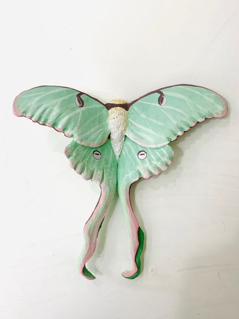 Ceramic Insect Sculptures, Moth Clay Art, Luna Moth Ceramic, Polymer Clay Luna Moth, Clay Luna Moth, Insect Ceramics, Ceramic Insects, Ceramic Bug, Polymer Clay Moth