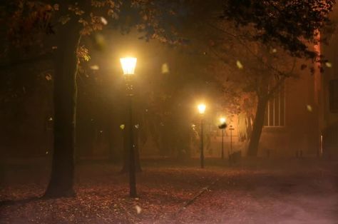 Iphone Gif, Night Life Photography, Night Forest, Live Wallpaper Iphone, Photo Background Images, Autumn Scenery, Fall Pictures, Autumn Cozy, Alam Yang Indah