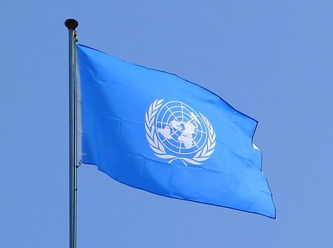 The United Nations United Nation Organisation, United Nations Flag, United Nations Organization, International Studies, Where Is The Love, Global Issues, Labor Union, Law And Justice, Foreign Affairs