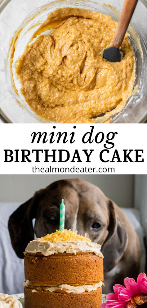 What better way to celebrate your pup's special day than with this Mini Dog Birthday Cake?! Complete with peanut butter and cheese and over 87 five star ratings, it's sure to please! Yogurt Icing, Pumpkin And Peanut Butter, Dog Friendly Cake, Dog Cake Recipes, Vegan Birthday Cake, Dog Birthday Cake, Mini Dog, Cookie Cake Recipe, Peanut Butter Cake