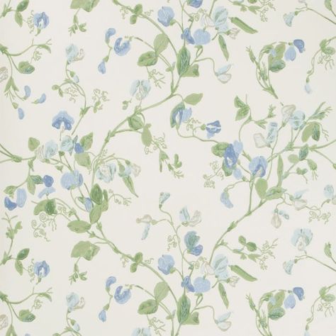 Sweet Pea - Blue Sweet Pea Wallpaper, Violet Wallpaper, Cole And Son Wallpaper, Commercial Wallpaper, Blue Florals, Grasscloth Wallpaper, Yellow Wallpaper, Cole And Son, White Wallpaper