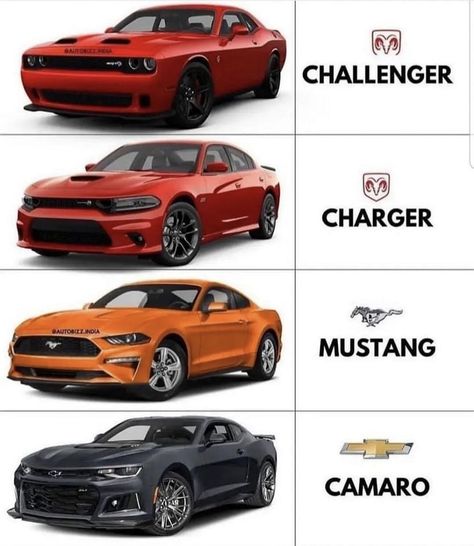 Muscle Cars Car Brands Logos, Car Facts, Mobil Drift, Street Racing Cars, Mustang Cars, Fancy Cars, Classy Cars, Pretty Cars, Car Mechanic