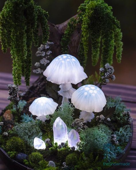 Fairy forest homedecor mushroom lamp with 3 glowing fungi and flowers under mossy tree Glowing Fungi, Fairy Mushrooms, Fairy Night Light, Mossy Tree, Forest Mushrooms, Glowing Mushrooms, Fairy Garden Doors, Fairy House Crafts, Cottage Core Decor