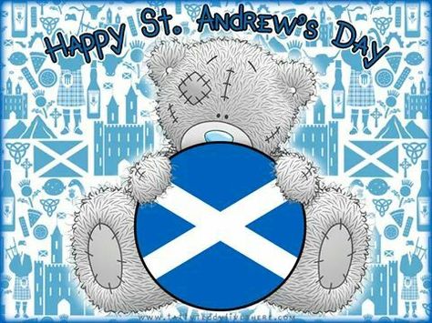 St Andrews Day, Ted Quotes, Moon Bear, Teddy Collections, Blue Nose Friends, 30 November, Zodiac Months, Teddy Bear Pictures, Tatty Teddy