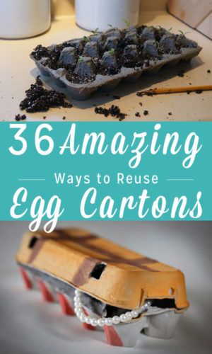 Egg Carton Uses Ideas, Repurposed Egg Cartons, Egg Carton Recycle Ideas, Recycling Egg Cartons, Egg Carton Upcycle, Upcycle Egg Cartons, Egg Carton Storage Ideas, What To Do With Egg Cartons, Egg Carton Uses