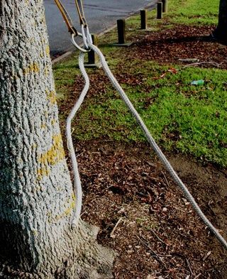 Arborist Climbing Trees, Tree Climbing Equipment, Tree Removal Cost, Tree Climbing Rope, Arborist Climbing, Climbing Knots, Climbing Technique, 1000 Lifehacks, Survival Knots