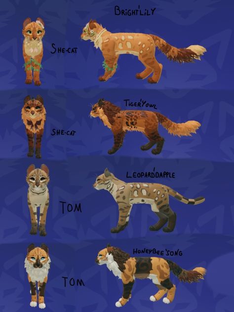 Wcue Morph Ideas Non Cat, Roblox Warrior Cats Morphs, Wcue Morph Ideas Brown, Wcue Morph Ideas Calico, Warrior Cat Oc Ideas Wcue, Warrior Cats Ultimate Edition Morph Ideas, Wcue Oc Idea, Warrior Cats Oc Design Roblox Ideas, Morph Ideas Warrior Cats