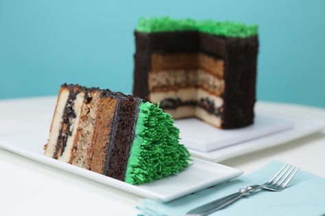 How to make a 5 Layer Earth Cake | Rosanna Pansino Earth Cake, Rosanna Pansino, Cookies And Cream Cake, Carrot Cake Cupcakes, Caramel Frosting, Walnut Cake, Salty Cake, Chocolate Sandwich, Chocolate Sandwich Cookies