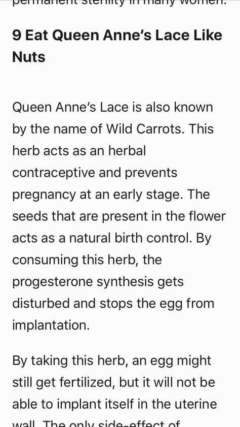 Herbal Birth Control, Herbal Contraceptive, Queen Annes Lace, Natural Birth, Pregnancy Stages, Living Things, Birth Control, Survival Skills, Green Thumb