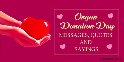 20+ Valentine’s Day Whatsapp Messages and Whatsapp Status Organ Donor Quotes, Organ Donation Quotes, Best Slogans, Donation Quotes, Valentines Day Messages, Organ Donor, Cool Slogans, Messages Quotes, Organ Donation