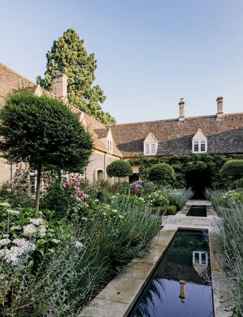 Italian Garden Ideas, Perovskia Blue Spire, Spanish Garden, Herbaceous Border, Formal Garden, Italian Garden, Formal Gardens, Easy Plants, Olive Garden