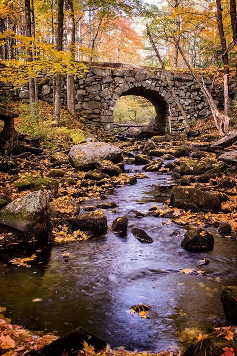 Photography Random, Stone Bridges, Fall Scenery, Old Bridges, Wonderful Nature, Abandoned Castles, Sony A7, Stone Bridge, 수채화 그림