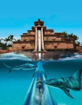 Tower of Power, Siam Park, Tenerife. Atlantis Bahamas, Luxury Boat, Bahamas Travel, Waterpark, Paradise Island, Tourist Places, Vacation Places, Bora Bora, Nassau