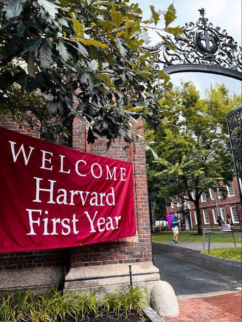 Harvard Application, Harvard Dorm, Harvard Uni, University Students Life, University Inspiration, College Vision Board, Harvard Students, Law School Inspiration, Writing Editing