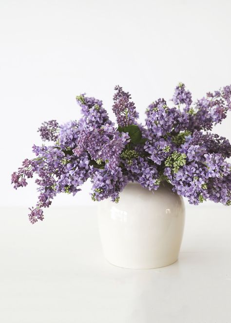 Lilac Arrangements, Lilac Centerpieces, Lavender Flower Arrangements, Lavender In Vase, Purple Flowers In Vase, Lilac Vase, Lilac Branch, Indian Jungle, Lilac Decor