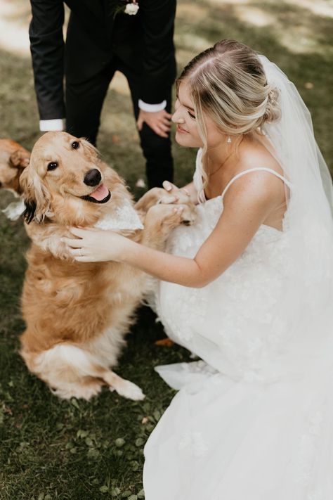 there’s no better “walk” than the one down the aisle🐶🤍 … photo| @briannadutcherphotography gown| @missstellayork Bride Walking Down Aisle With Two Dads, Son Walking Bride Down Aisle, Dogs Walking Down The Aisle, Bride Walking Down The Aisle Photography, Groom Watching Bride Walk Down The Aisle, First Down, Walking Down The Aisle, Dog Walking, Walking