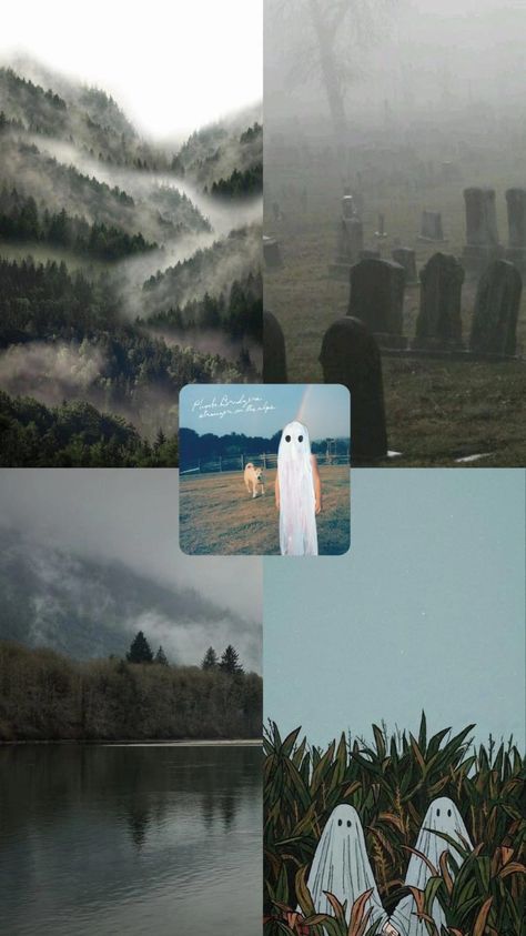 Stranger In The Alps Wallpaper, Wallpaper Phoebe Bridgers, Alps Wallpaper, Stranger In The Alps, Music Vibes, Phoebe Bridgers, The Alps, Wallpapers, Music