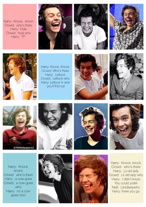 Harry n his Hilarious knock knock jokes 😂😂 Harry Styles Jokes Knock Knock, Harry Styles Jokes, Knock Knock Jokes Funny, Funny Harry Styles, One Direction Infection, Harry Styles 2015, Harry Styles Gif, Style Lyrics, Sofa King