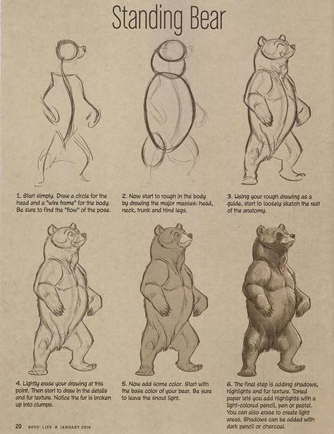 By aaron blaise Human Bear Drawing, Bear Poses Drawing, Aaron Blaise Art, Bear Anatomy Drawing, Bear Drawing Reference, Bear Drawing Sketches, How To Draw Bears, How To Draw Bear, Drawing Bears