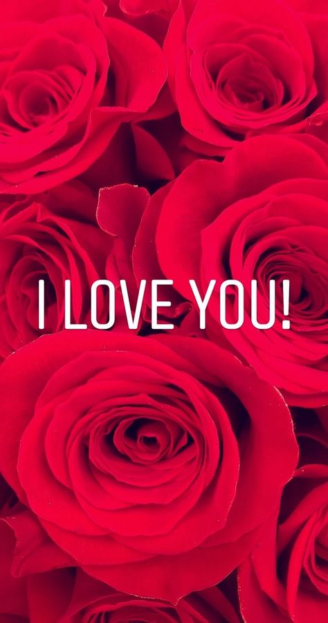 February Widget, L Love You Quotes, Iphone Wallpaper Fashion, Love Rose Flower, Red Roses Wallpaper, Love Wallpaper Download, $b Wallpaper, Romantic Poems, Cute Engagement Rings