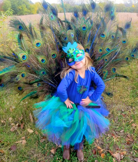 Peacock Costume Kids, Creative Kids Halloween Costume, Unique Kids Halloween Costume, Peacock Costume Diy, Peacock Halloween Costume, Diy Peacock, Peacock Tutu, Peacock Costume