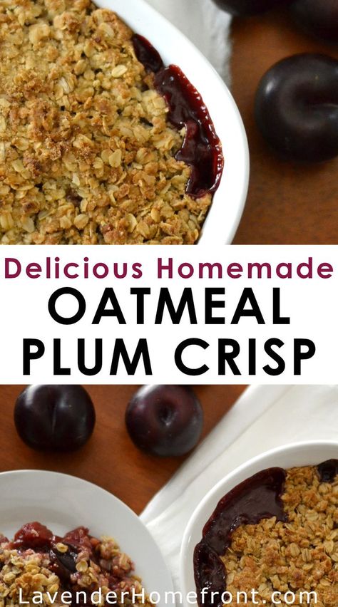 Oatmeal plum crisp recipe in a casserole dish on a table. Plum Ice Cream, Plum Crisp, Oatmeal Crisp, Make Oatmeal, Savory Oatmeal, Plum Recipes, Homemade Oatmeal, Easy Oatmeal, Cinnamon Oatmeal