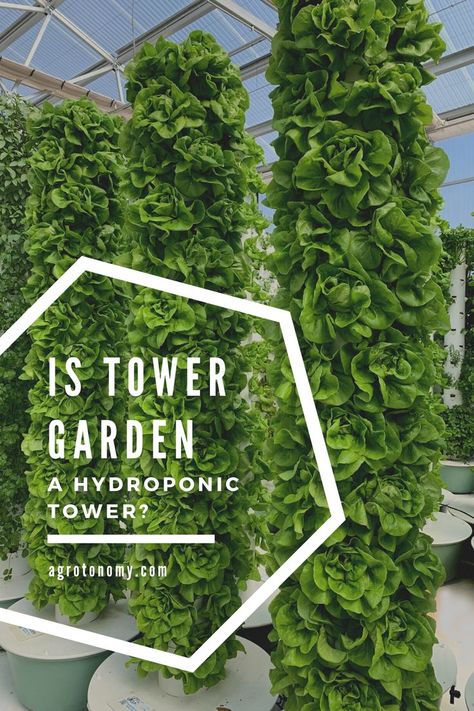 Hydroponic Tower, Aeroponic Gardening, Vertical Hydroponics, Hydroponic Greenhouse, Vertical Growing, Home Hydroponics, Aeroponic System, Restricted Area, Commercial Farming