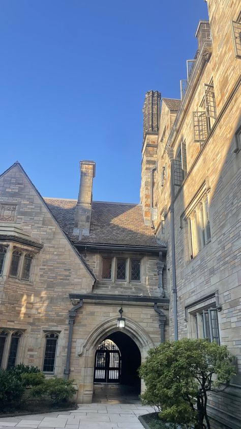 Old University Aesthetic, Yale Acceptance, Yale University Aesthetic, College Gothic, Yale Aesthetic, Ivy University, Columbia Uni, Ivy League Aesthetic, Yale College